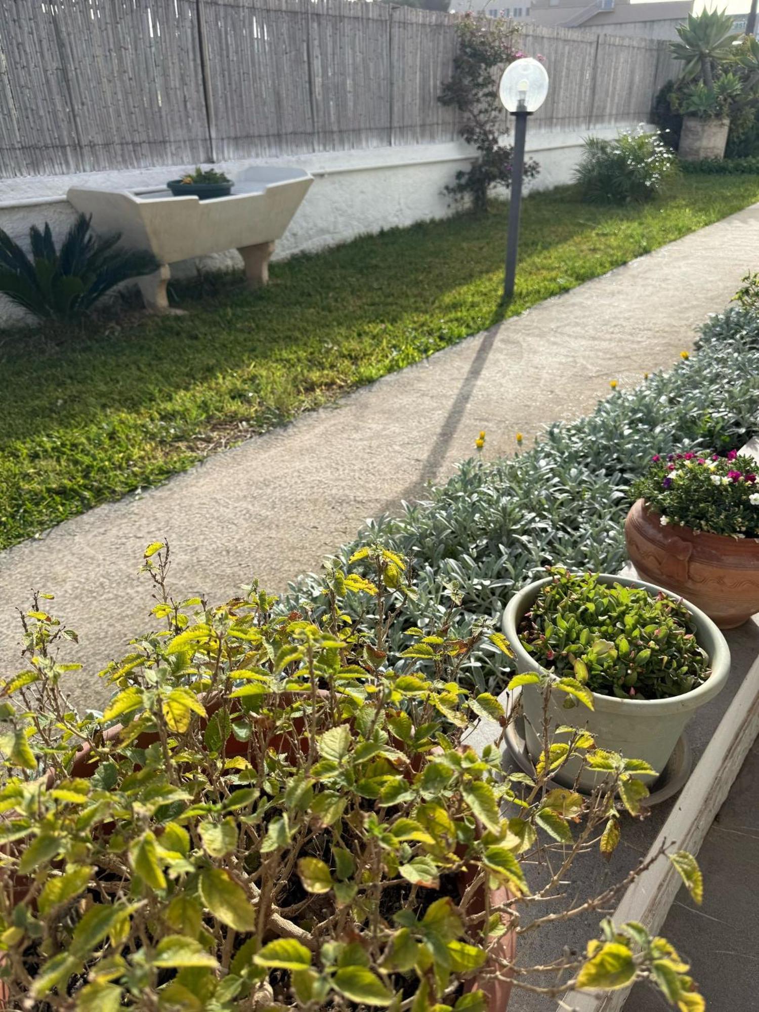 A Casa Di Coso B&B มาร์ซาลา ภายนอก รูปภาพ